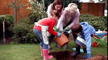 CBeebies  Topsy and Tim Weekdays TV Trailer