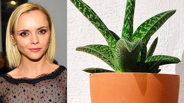 Famous Fears: 3 Surprising Celebrity Phobias