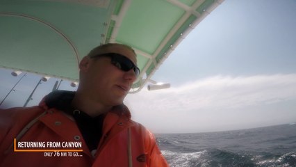 Fountain 38 CC TE Returning From Canyons