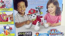 Pat Patrouille Marcus Robot Zoomer Paw Patrol Marshall Toy Review Patrulla de Cachorros Jouet