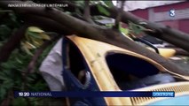 Ouragan Maria : l'île de Porto Rico balayée