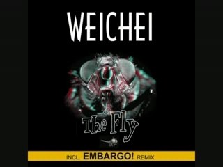 Dj weichei  "the fly"  embargo remix 2002