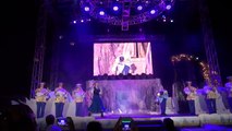 FROZEN Summer Fun FINALE - Anna, Elsa, Kristoff & Olaf - Fireworks Spectacular