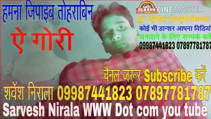 Hindi Sayri phool phol ko pasand karti h