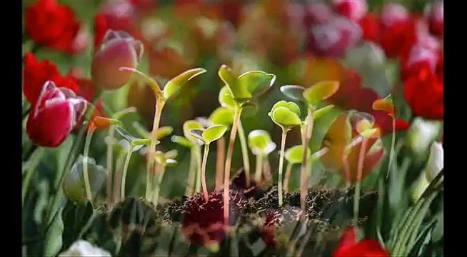 بداية عام 1439 هـ | بصمة عطاء