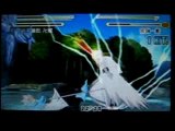 Bleach Heat The Soul 4 Hitsugaya VS Dark ichigo