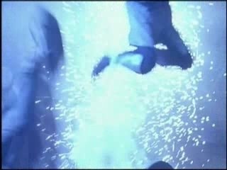 L'armata dei mosconi - il risveglio dei santi