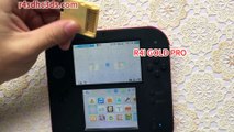 Linker DS: R4i Gold Pro avec 3DS Ver 11.6