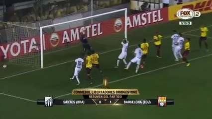 Santos vs Barcelona Guayaquil 0-1 ~ Goal & Highlights