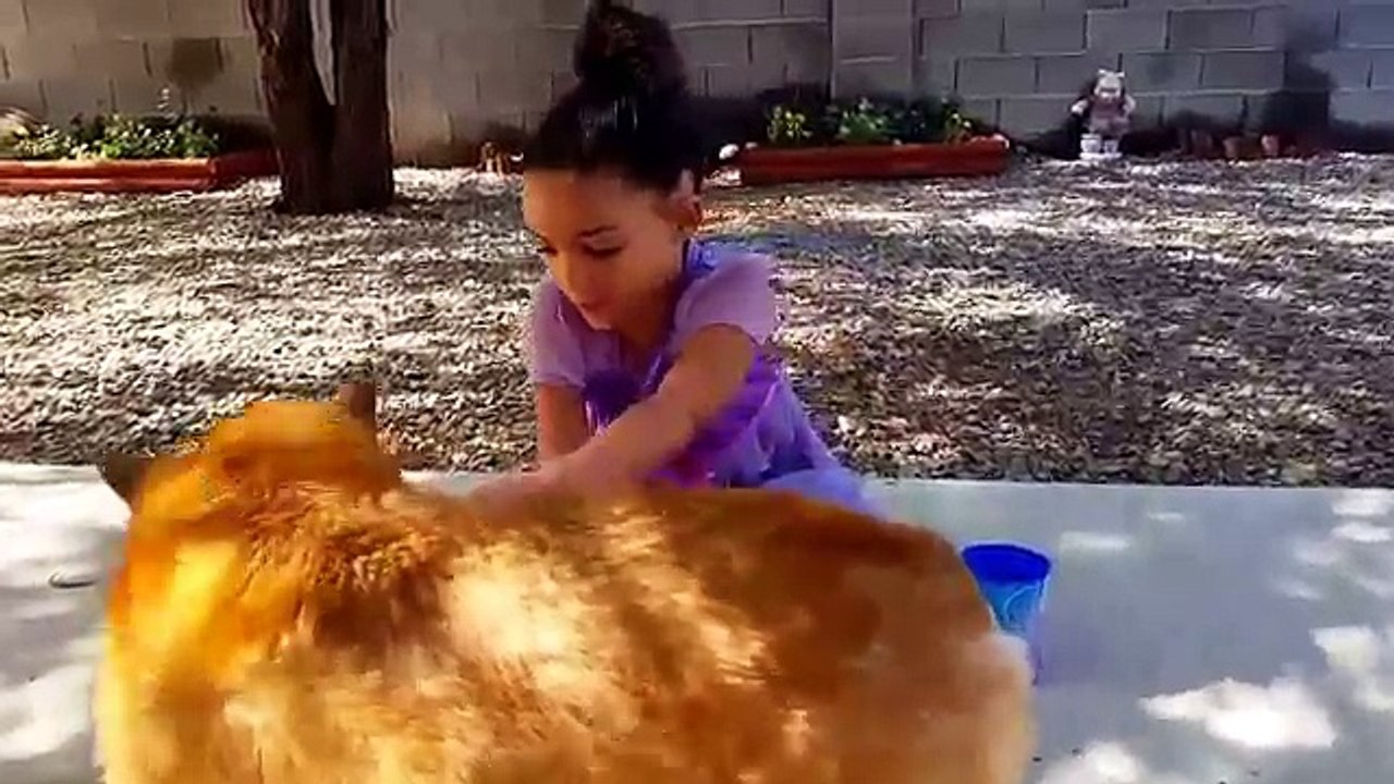 Magic Mermaid Potion