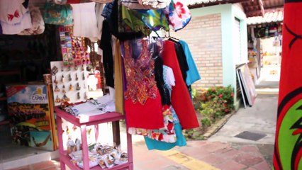 Trip Tour Natal Dia 2 parte 2 - O Maior Cajueiro do Mundo