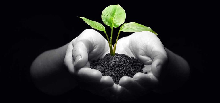 Khởi nghiệp 1410