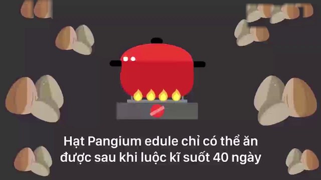 6 loại thực phẩm quen thuộc mà nguy hiểm nhất thế giới