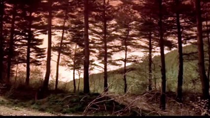 Annabelle cũng phải “tắt điện” với “hội chị em bạn dì” châu Á này