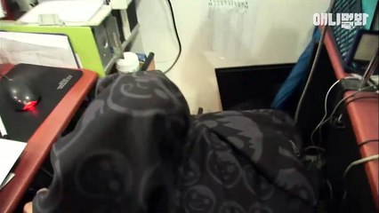 Đột nhập công ty, mẹ mèo bỉm sữa được tặng nhà mới