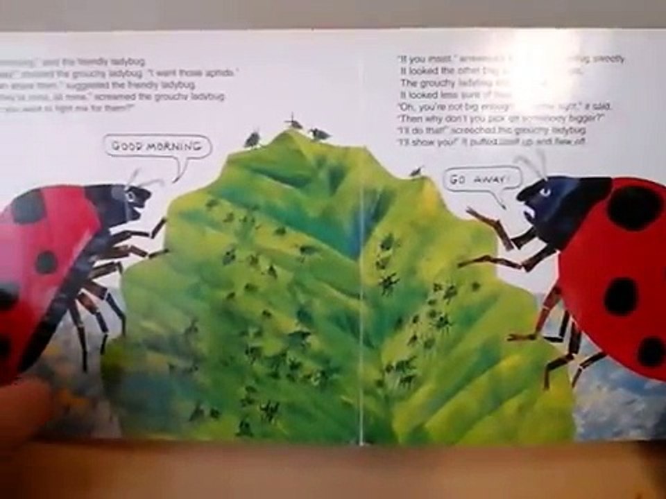 Miraculeux Coccinelle
