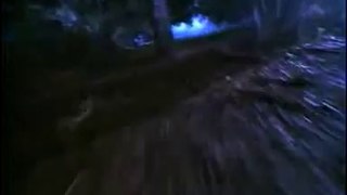 Leprechaun - Trailer
