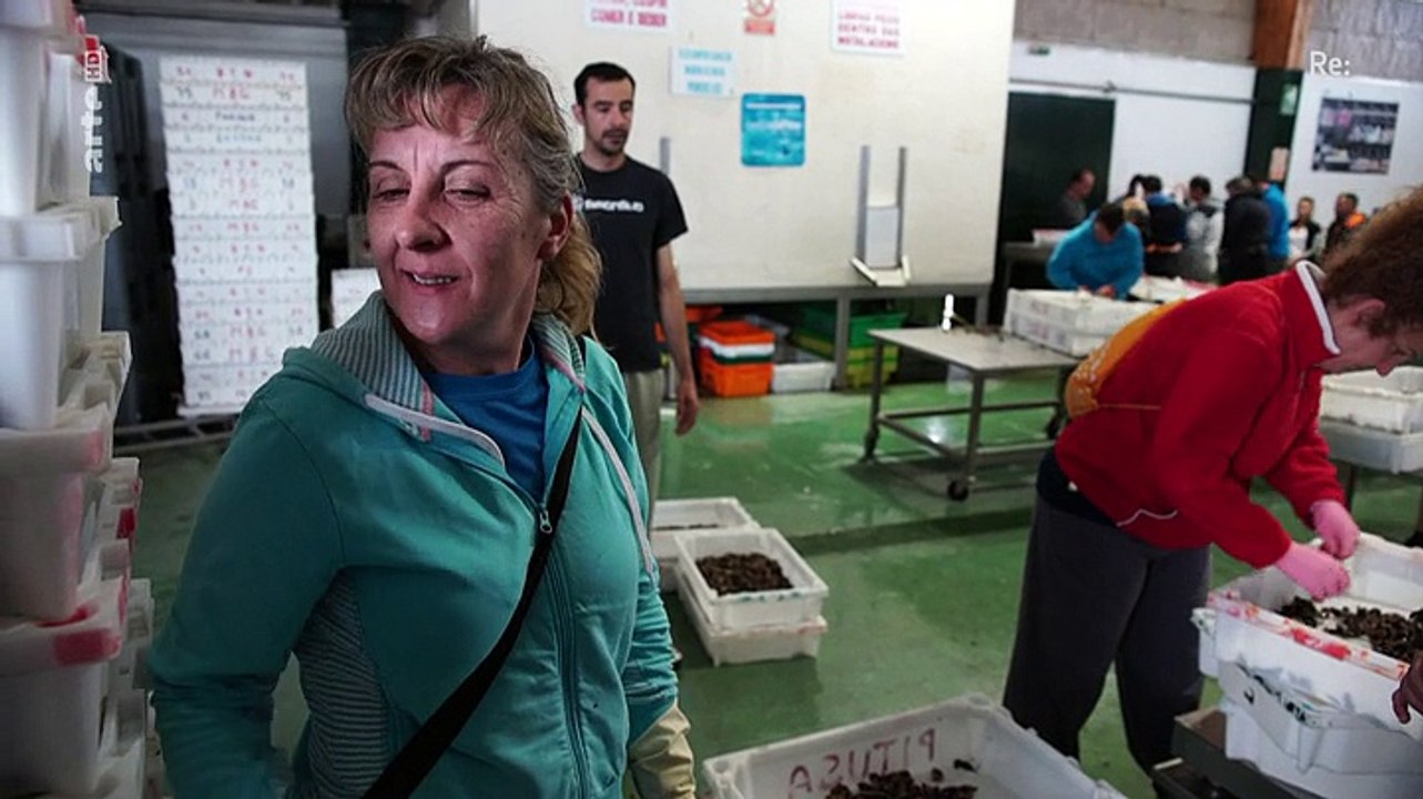 Re: die muschelfischerinnen von galicien - kampf auf der klippe (doku)