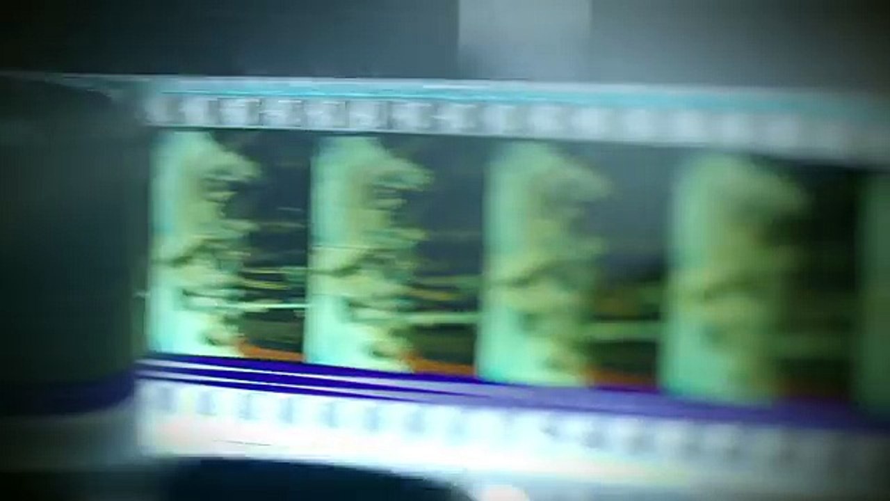 Belfer: Sezon 2 Odcinek 2 . O­NLINE (TRT)! Se­rial (s02e02) [Cho­mikuj] [C­da]