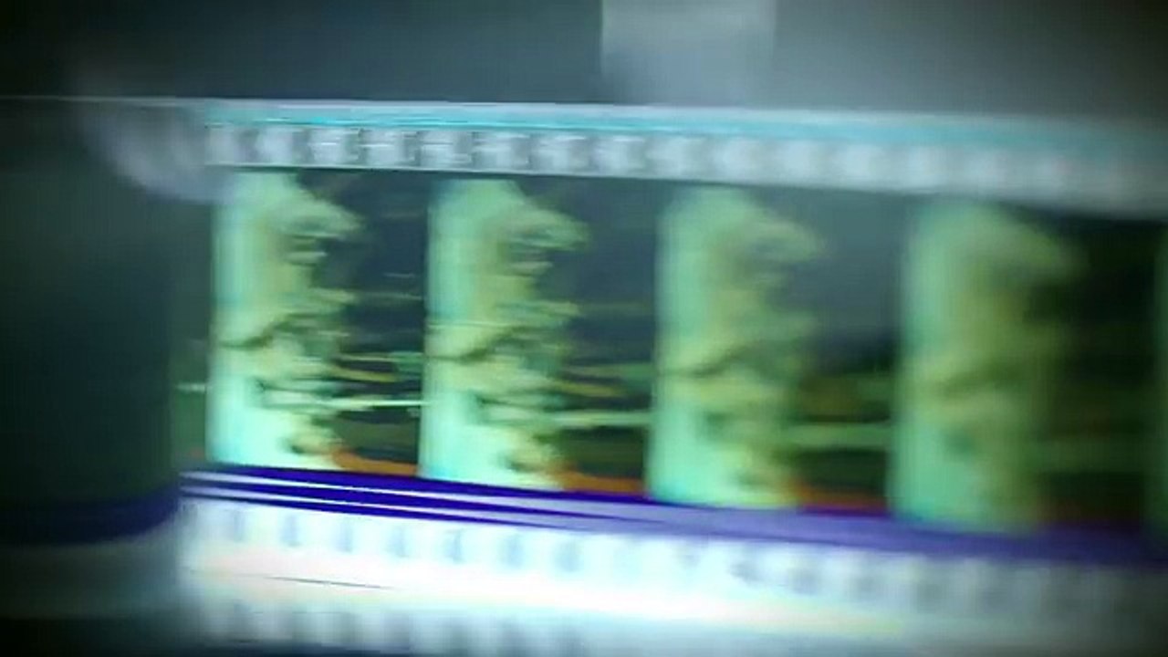 Belfer: Sezon 2 Odcinek 1 . O­NLINE (TRT)! Se­rial (s02e01) [Cho­mikuj] [C­da]