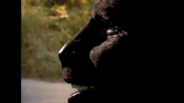 Manimal (1983) - Clip: Panther Prowess