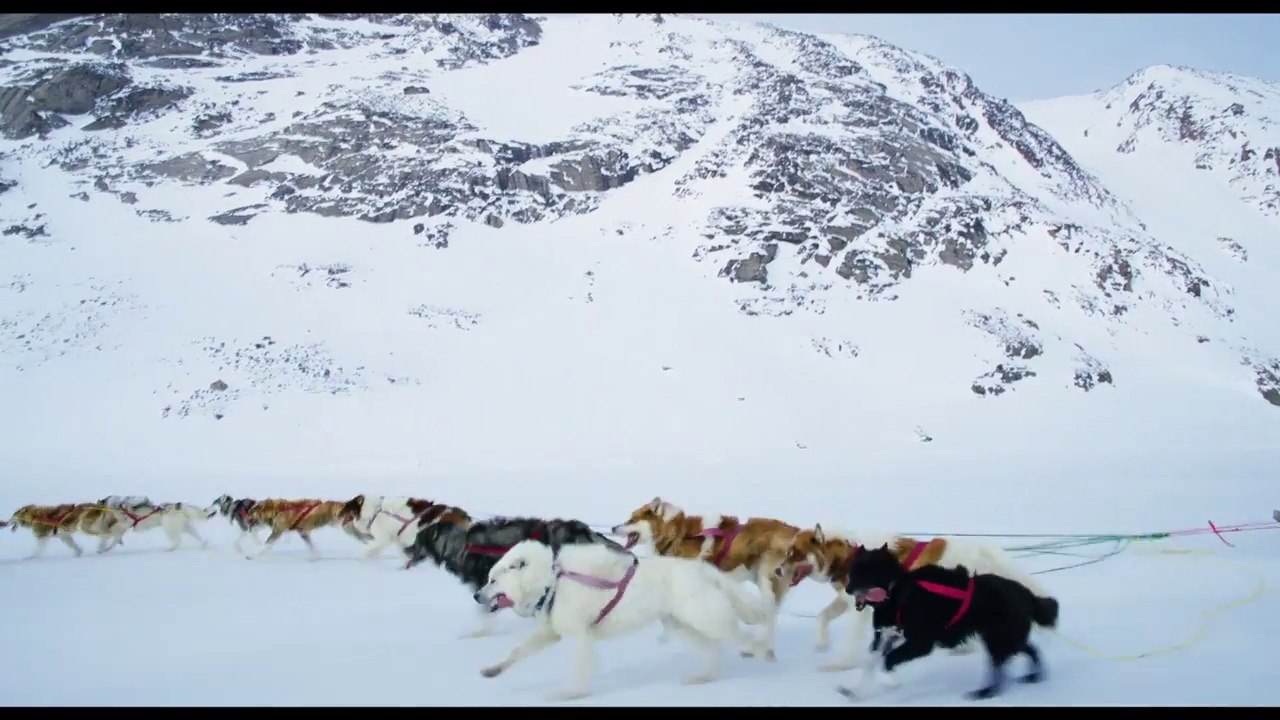 Wonders of the Arctic - Clip: The Adventures of Dog Sledding