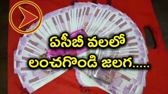 Kurnool AE Arrested By ACB for taking bribe from Farmers ఏసీబీ వలలో లంచగొండి జలగ. | Oneindia Telugu