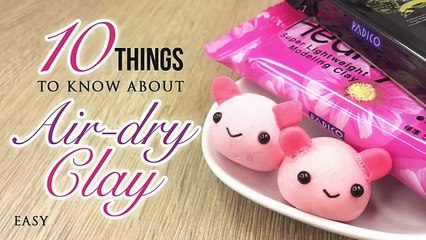 10 Things You Must Know About Air-dry Clay