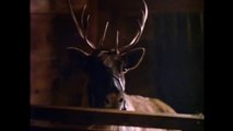 Prancer (1989) - Official Trailer (HD)