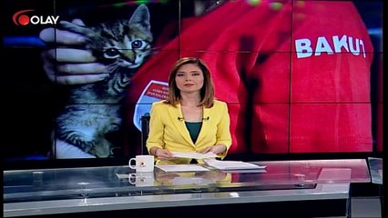 Bursaray'da kedi operasyonu (Haber 20 09 2017)