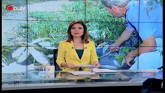 Karacabey'de çevre kirliliği (Haber 20 09 2017)