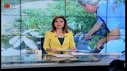 Karacabey'de çevre kirliliği (Haber 20 09 2017)