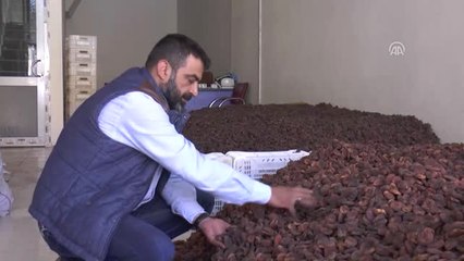 Tarım Ürünlerinde İstikrar, Lisanslı Depolarla Sağlanacak"