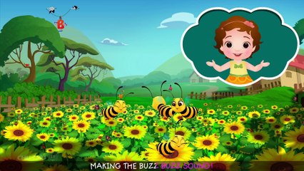 Learning English Is Fun™ _ Alphabet “B” _ ChuChu TV Preschool English Language Learning For Children