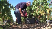 A LA UNE / Foires aux vins: les Vouvray et Montlouis sont rares