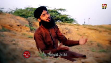 Mein Karbalai Hun - Hafiz Sajid Qadri
