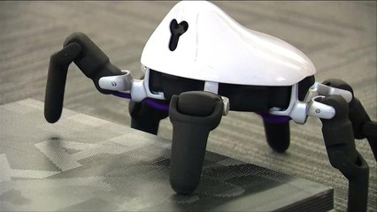 هذا الصباح- روبوت مرن وذكي يشبه العنكبوت