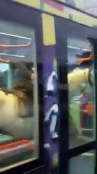 Il monte à cheval dans le tramway de Montpellier