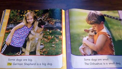 Kindergarten Read aloud Different Kinds of Dogs By Linda Ruggieri