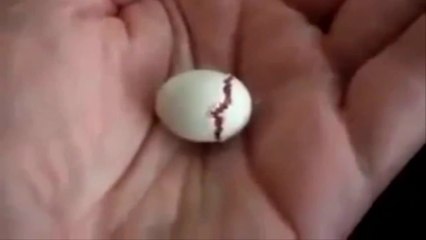 الابداع الذي لا احد يستطيع ان يقلده