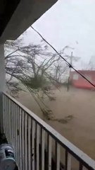 L'eau arrive à hauteur des 1er étages à Porto Rico !! Ouragan Maria