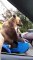 Croiser un Ours géant dans une moto Side-car en Russie.. Sur la route.. NORMAL