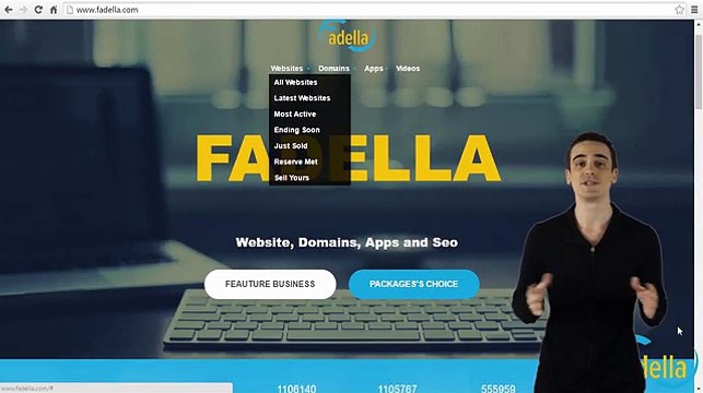 Sell Established Websites