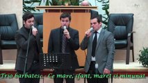 Trio barbatesc - Suntem aici in prezenta Ta, o Doamne