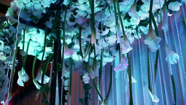 Destination Weddings In Srilanka