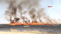 Mogan Gölündeki Sazlık Alanda Yangın Çıktı 4