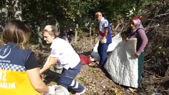 Zonguldak Ceviz Topladığı Ağaçtan Düşüp Yaralandı