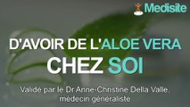 3 bonnes raisons d'avoir de l'aloe vera chez soi