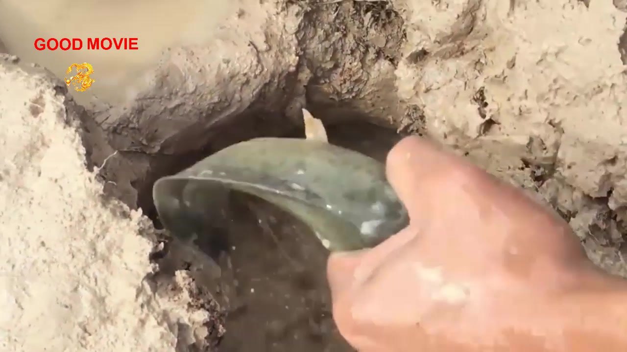 Découvrez comment piéger le poisson le plus efficace de l'ancien à l'heure