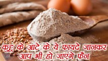 Kuttu ka Aatta | कुट्टू के आटे के फायदें | Health Benefits of Buckwheat Flour, कुट्टू का आटा Boldsky